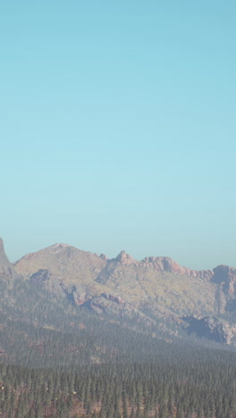 stunning mountain landscape with a forest in the foreground