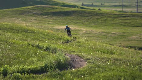 mountain bikers riding in a trail