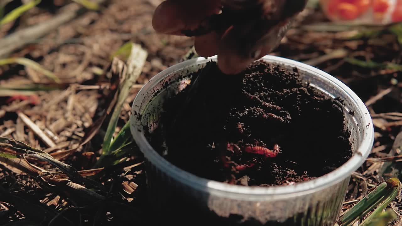 el cebo de lombriz de tierra está en el frasco el pescador toma el cebo