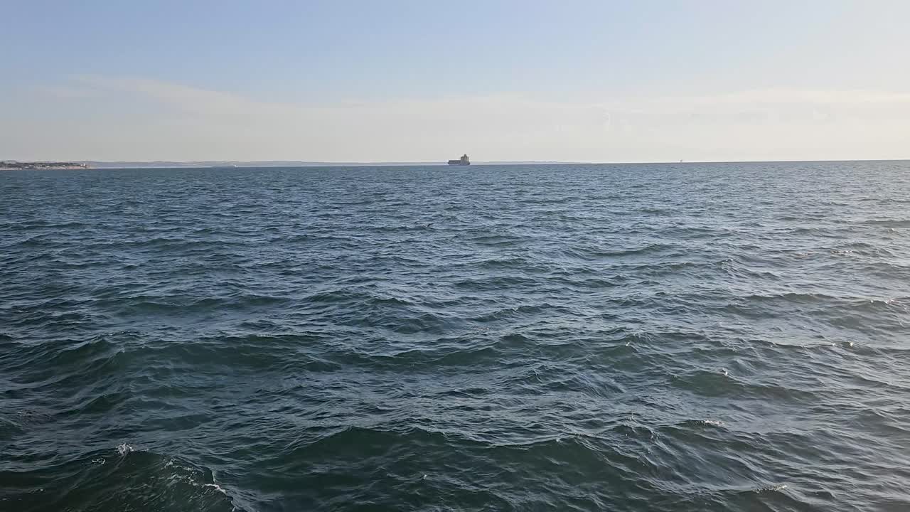 A seagull soars above the open waters of the Thermaic Gulf in the Aegean Sea, its wings spread wide against the clear sky, with a distant ship visible along the horizon