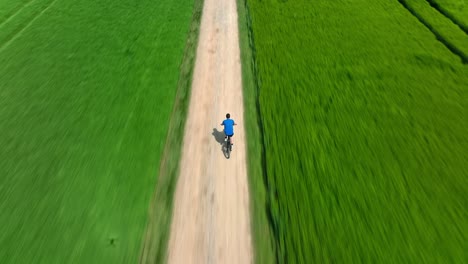 Sommerliche-Fahrradtour-Eines-Mannes,-Der-über-Eine-Grüne-Wiese-Fährt,-Von-Hinten-Gefilmt,-Von-Einer-Drohne-Verfolgt