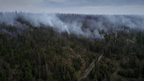 Close-Up-View-Of-Wildfire,-Spreading-Flames-Of-Forest-Fire