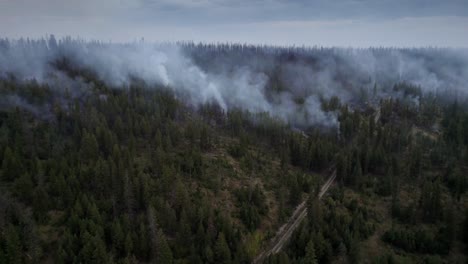 vista de cerca del incendio forestal, la propagación de las llamas del incendio forestal