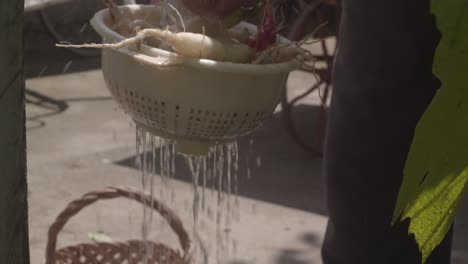 Lavado-De-Nabo-Orgánico-En-La-Fuente-Del-Jardín-En-Un-Día-Soleado,-Cámara-Lenta,-Inclinación-Hacia-Arriba