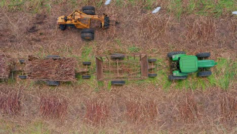 sugar cane harvesting machinery. aerial top-down