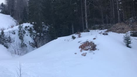 Vista-Aérea-De-Invierno-Con-Drones-En-El-Bosque-De-Pinos-Y-Gran-Roca-De-Piedra-En-La-Nieve-En-La-Cordillera-De-Jahorina