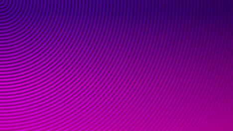 Animación-Fondo-Radial-Onda-Circular-Línea-Gráficos-En-Movimiento-Bucle-Patrón-Diseño-Color-Visual-Digital-Efecto-Ilusión-óptica-Hermosa-4k-Púrpura-Rosa