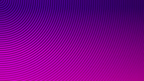 fondo de animación onda radial línea circular gráficos de movimiento diseño de patrón de bucle color efecto digital visual ilusión óptica hermosa 4k púrpura rosa