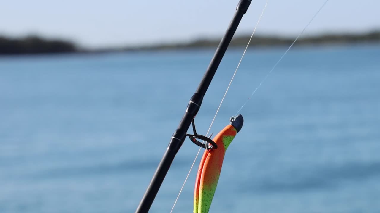 Primo piano dettagliato di una canna da pesca e un'esca vivace sopra acque blu calme