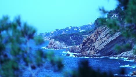 costa rocosa con la naturaleza en francia en la orilla