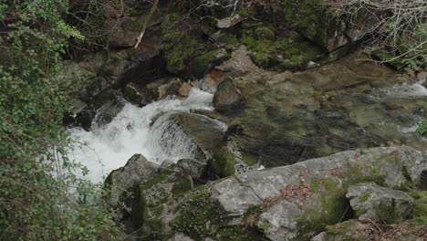 Arroyo-Burbujeante-A-Través-De-Un-Bosque-Frondoso