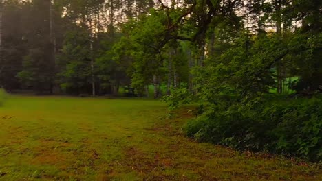 Having-Round-In-Green-Yard-Surrounded-With-High-Rise-Trees,-Forest-Of-Finland