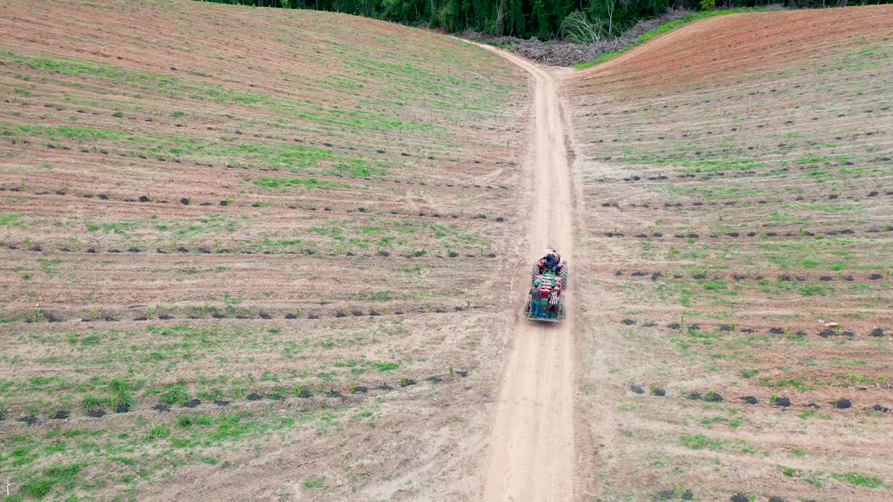 과일 농장에서 복숭아를 운반하는 트랙터