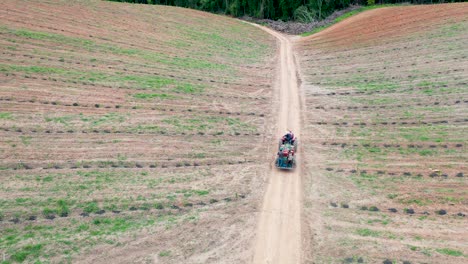 Tractor-transporting-peaches-on-fruit-farm