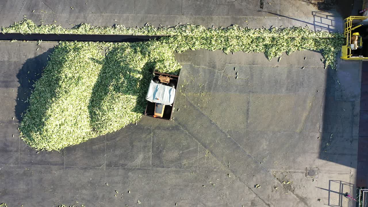 Corn Harvesting and Processing Operation