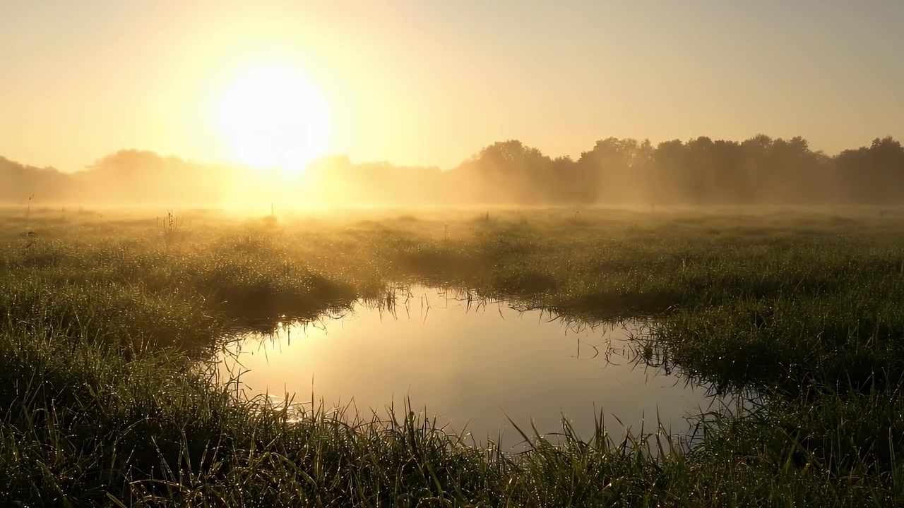 Kultainen auringonnousu sumuisen niityn yllä pienen lammen kera