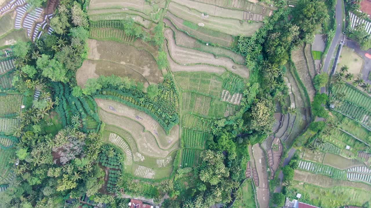 terrazas de arroz y pequeño pueblo de indonesia, vista aérea de arriba hacia abajo