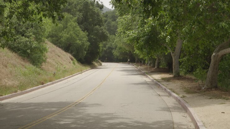 Filmato cinematografico diurno 4K a 10 bit da DSLR catturato a Griffith Park che mostra un ciclista che si allontana in lontananza lungo una strada panoramica nel canyon