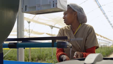 Worker-cleaning-hand-in-blueberry-farm-4k