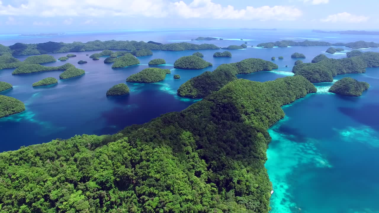 해파리 호수 패닝 조감도