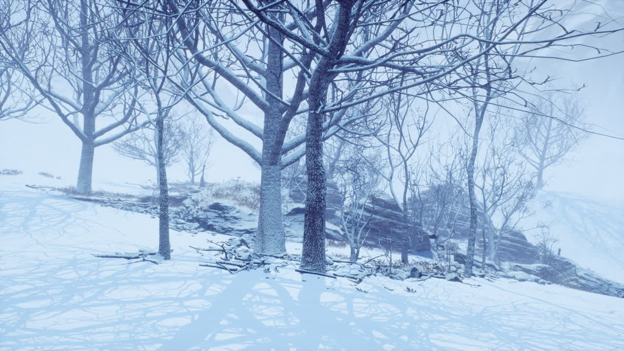 안개 가 많은 아침 에 겨울 의 낙 ⁇  숲