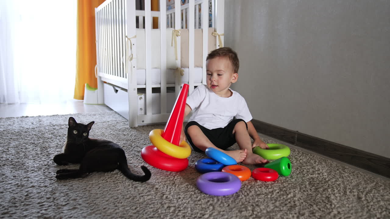Lovely toddler sits on the carpet playing with toy pyramid. Gorgeous black cat lies calmly beside the boy.