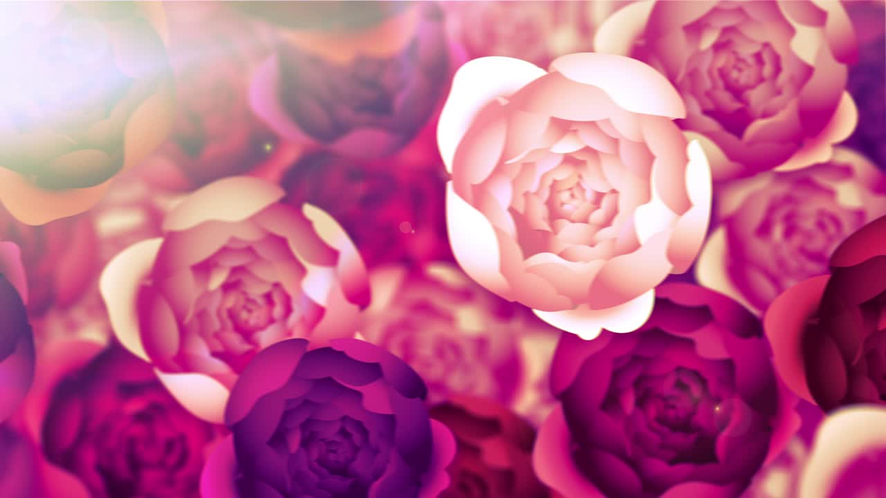 피오니 벽 [루프]