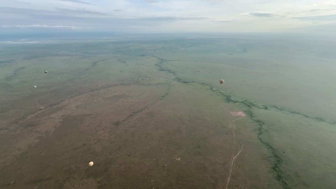 은 아침에 세렌게티에서 열기 풍선으로 파노라마 탄자니아