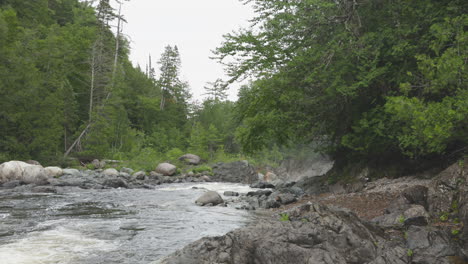 a large river flows the woods towards some falls