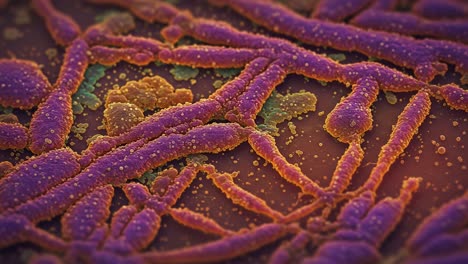 detailed microscopic view of bacterial structure highlighting colorful fibrous forms and distinctive textural variations observed in high definition