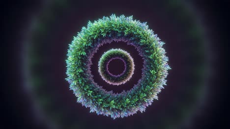 a mesmerizing visual of concentric circles formed by vibrant green foliage, drawing viewers into a captivating spiral of nature's beauty and tranquility
