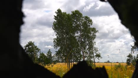 POV-shot-of-hiding-in-dark-outdoor-hole-with-tree-in-wind-and-clouds-in-sky