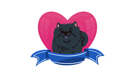 cute black dog in a heart