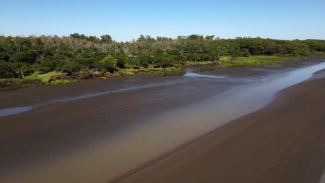 toma panorámica con drones de bancos de arena y bosques por el río de la plata.