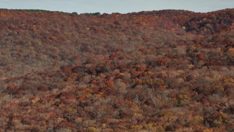 Exuberante-Y-Denso-Bosque-Otoñal-En-El-Parque-Estatal-Lake-Fort-Smith-En-Arkansas,-Estados-Unidos---Disparo-De-Drones