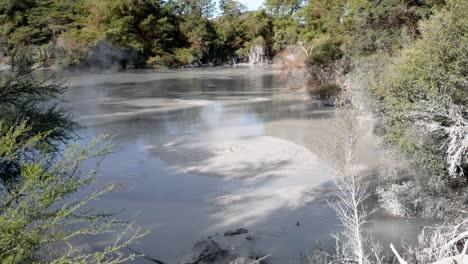 hand-held shot of the boiling waiotapu mud pools, rotorua, new zealand