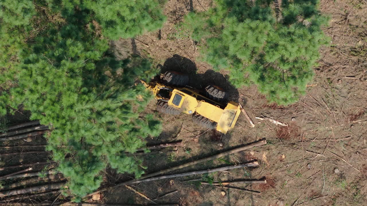 Aerial top down crane machine logging wood, cutting down forest trees, timber industry, vehicle working landscape