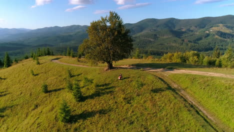 cellist playing music on a hill. professional musician with cello among beautiful green nature in the mountains. camera rising back. aerial view.
