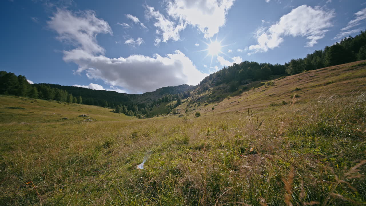 Vista soleggiata di una collina con cielo blu, nuvole soffici, natura serena e selvaggia
