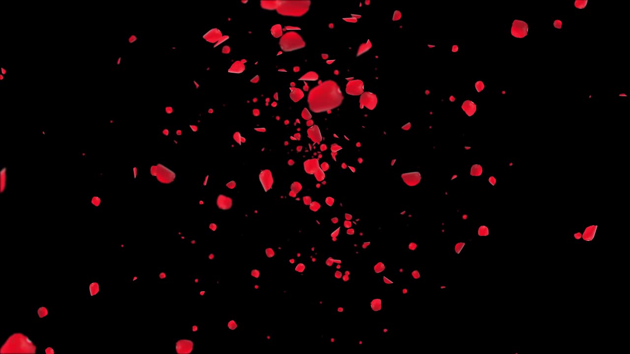 사쿠라 핑크 은 꽃잎이 떨어지고 로맨틱한 꽃이 날아가는 꽃잎 색 루프 배경