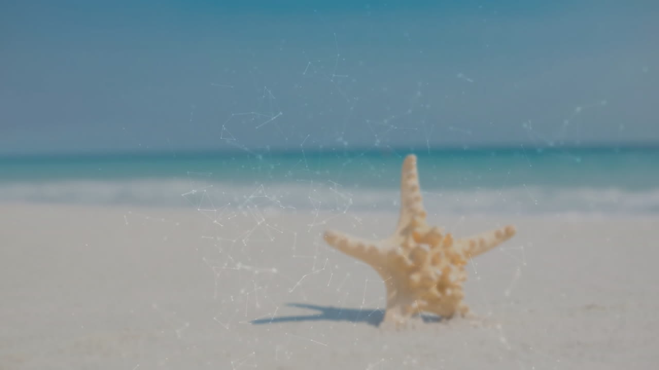 Starfish on sandy beach with digital network animation overlaying scene