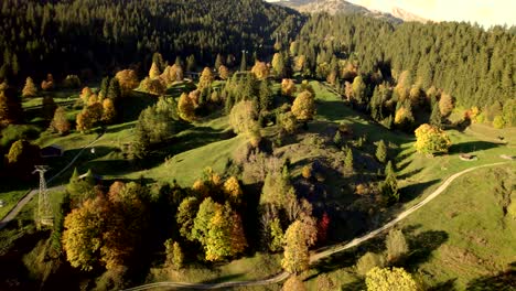 瑞士格林德爾瓦爾德 (grindelwald) 的高山草原和<unk>樹,