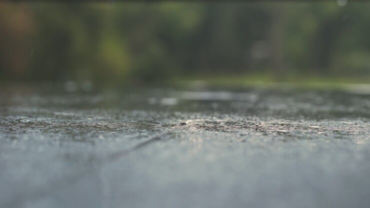 Close Up Of Heavy Rain 12