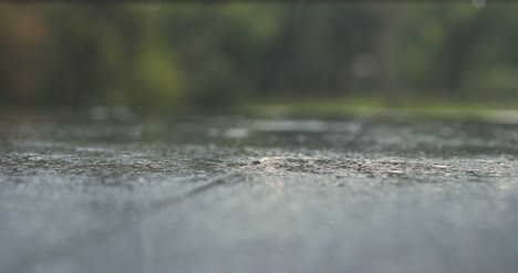 zbliżenie na ulewny deszcz 12