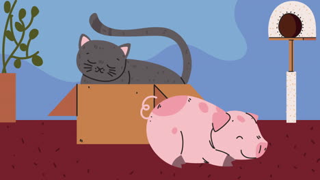 animación de mascotas de cerdo y gato
