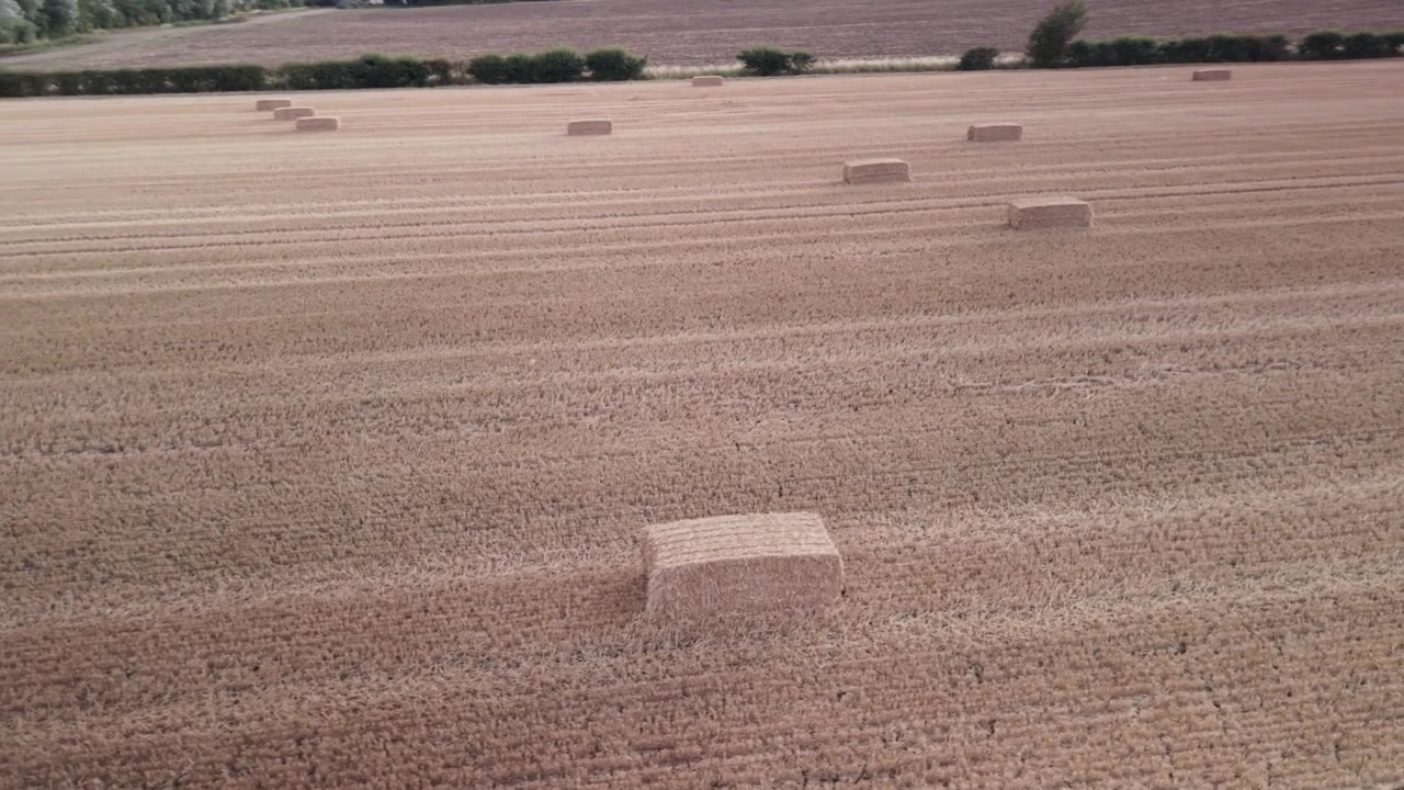 Ballette di paglia disposte su un campo agricolo mietuto in un paesaggio rurale di campagna, che mostra terreni agricoli secchi e terreno aperto