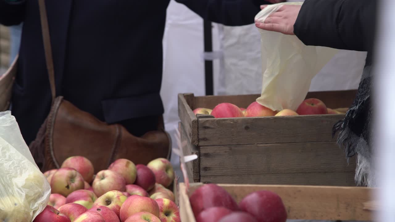 Costumer choosing red apples in city fruit and vegetable market. Buyer picking red juicy apples in farmers market