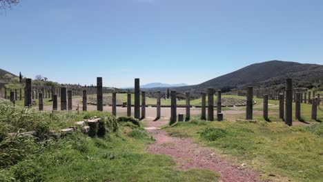 columnas del sitio arqueológico de la antigua messini en la península del peloponeso en grecia