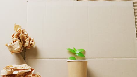 Close-up-of-paper-trash-and-cup-with-plant-on-cardboard-background,-with-copy-space