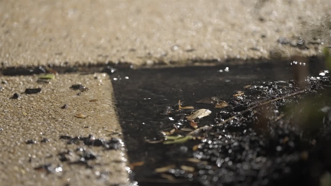 Dirty Rainwater Puddle on Urban Sidewalk Reflecting City Lights
